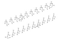FUEL RETURN LINE