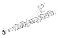 BOLT 12 PT HD